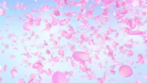 Pink Rose Petals falling loopable background in 4K Stock Footage 123979601