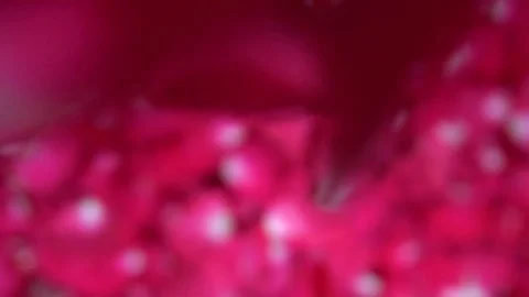 Pink rose petals falling out of focus on rose bed 120 fps Stock Footage 80922738
