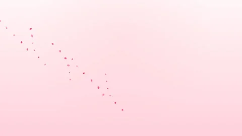 Pink Rose Petals Gently Falling on Pastel Gradient Backdrop Stock Footage 328353511