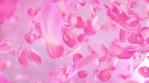 Pink Rose Petals loopable background in 4K Stock Footage 123699570