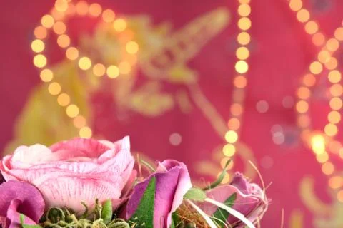 Pink rose Stock Photos