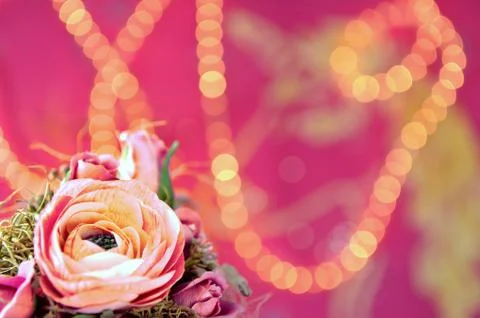 Pink rose Stock Photos