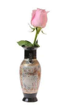 Pink rose Stock Photos