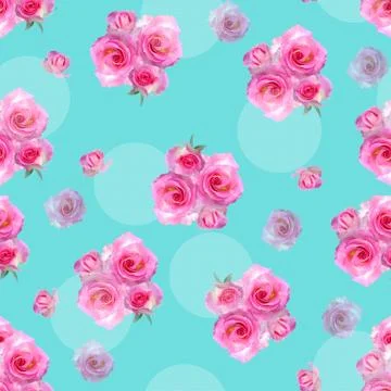 Pink rose Stock Photos