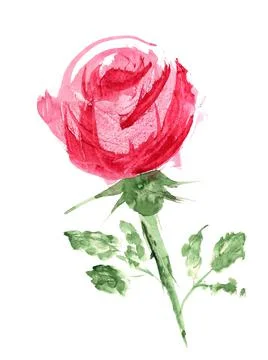 Pink rose with stem Stock Illustration