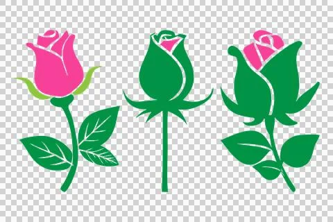 Pink rose vector with green leaf Stock-Illustration