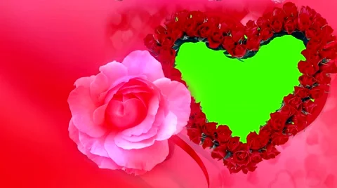 PINK ROSE WEDDING Stock Footage 49689720