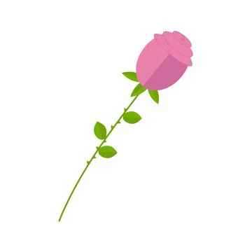 Pink rose on white background for use in clipart Stockillustratie