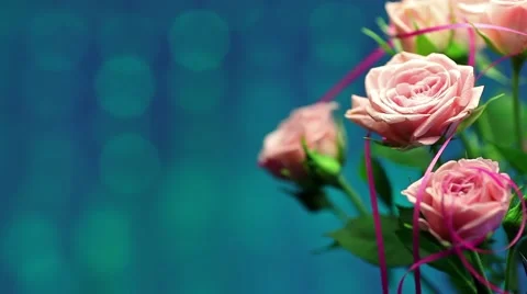 Pink rose in the wind with blurry shining background Video stock 46002568