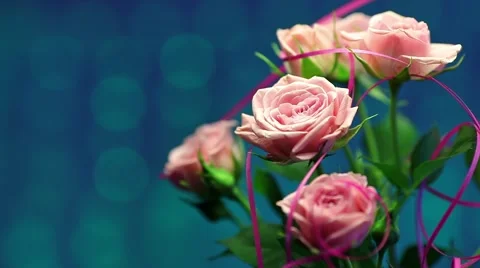 Pink rose in the wind with blurry shiny background Stock Footage 46002574