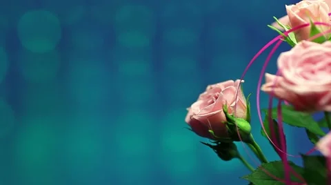 Pink rose in the wind with blurry shiny background Stock Footage 46002596