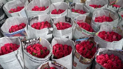 Pink roses arranged in package wrapped with newspaper at Yodpiman flowers market Video stock 79028016
