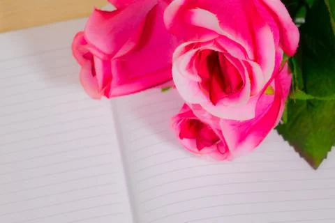Pink roses on the book notes Stock Photos