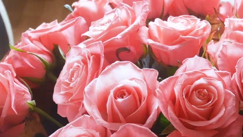 Pink roses bunch Video stock 85693327