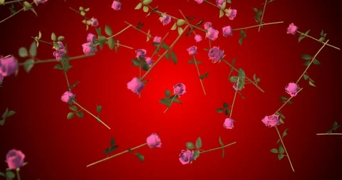 PINK ROSES falling slow motion Stock Footage 102079290