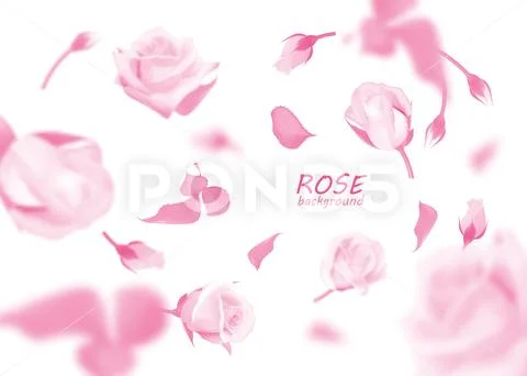 Pink roses flowers and bud fall to the floor. Isolated vector studio background Stock Illustration