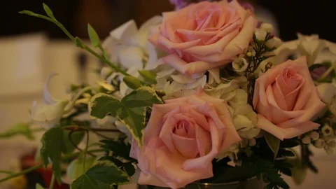 Pink roses Stock Footage 104775897