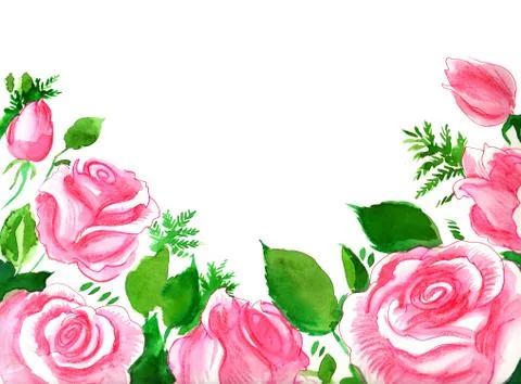 Pink roses Illustrazione stock