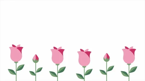 Pink roses lower border background with copy space on white for wedding Video stock 332212257