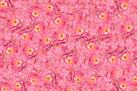 Pink Roses Pattern Festive Background and Gift Box Foto stock