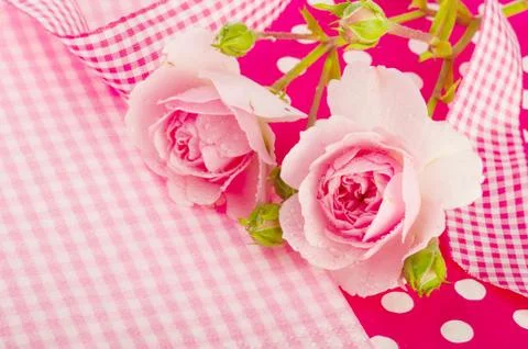 Pink roses Foto stock