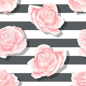 Pink roses seamless vector pattern with brushed horizontal stripes background Stock Illustration