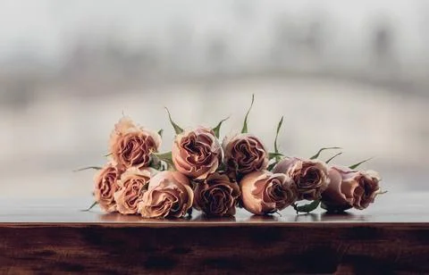 Pink Roses on table Stock Photos