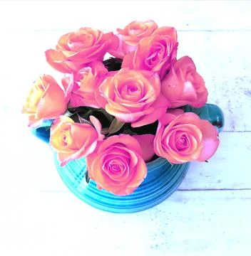 Pink roses in turquoise vase Stock Photos