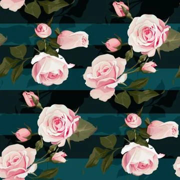 Pink roses vector seamles pattern. Realistic flowers on stripes background Stock Illustration