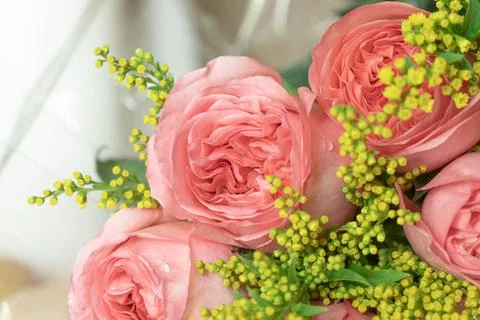 Pink roses with water drops and small yellow flowers Stock Photos