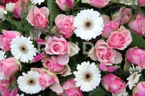 Pink roses, white gerberas in bridal arrangement Stock Photos
