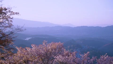 Pink Sakura and Mountain Landscape of Japan in Spring, Sunset View Stock Footage 340180022