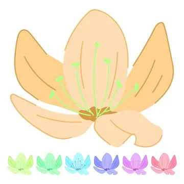 Pink sakura cherry blossom vector cartoon graphic Illustration