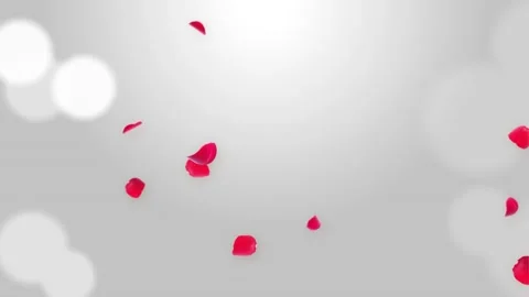 Pink sakura Falling Petals Loop Background 3D Green Screen. 動画素材 140300720