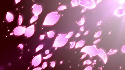 Pink sakura leaf particle loop animation Stock Footage 146124142