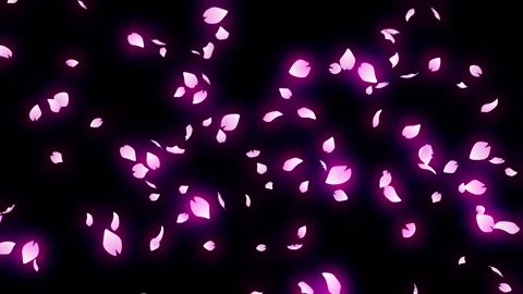 pink sakura leaf particle loop animation | Stock Video | Pond5