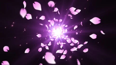 Pink sakura leaf particle loop animation Vídeos de archivo 146152276