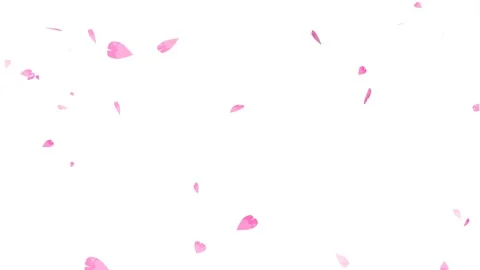 Pink sakura leaves particles falling twirl and faded slow fall and faded in the Stock Footage 144920261