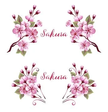 Pink Sakura Monograms Illustration
