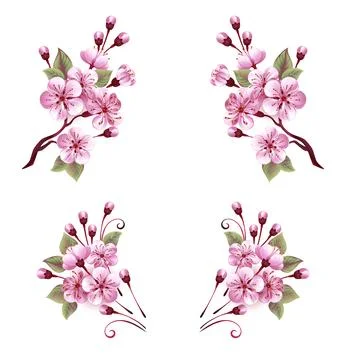 Pink Sakura Monograms Stock Illustration