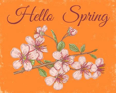 Pink sakura on orange background. Stock Illustration
