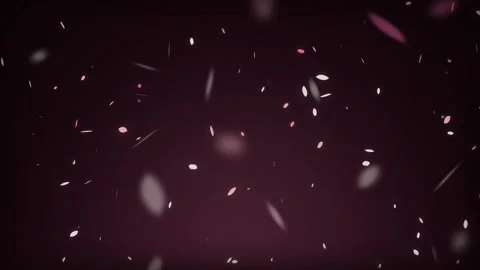 Pink Sakura Petals Falling Seamless Loop Background, Romantic Cherry Blossom Stock Footage 340621035