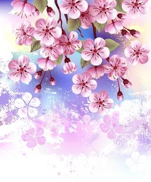 Pink sakura on textured background Stock Photos