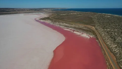 Pink salt lake Stock Footage 121842899
