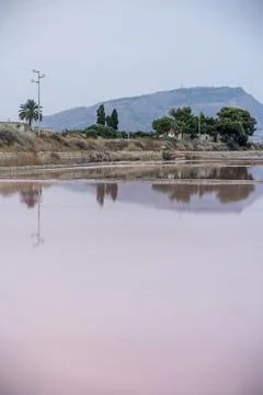 Pink salt pond with mountain reflection at Trapani flats 库存照片