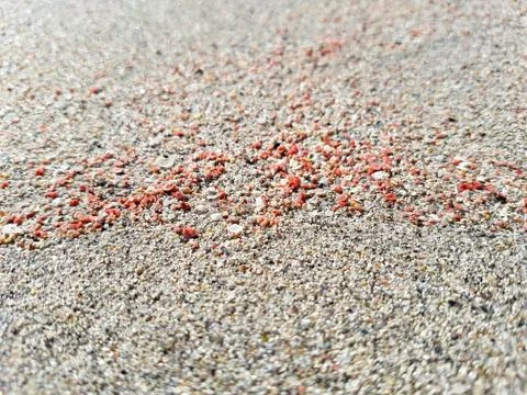 Pink sand Foto stock