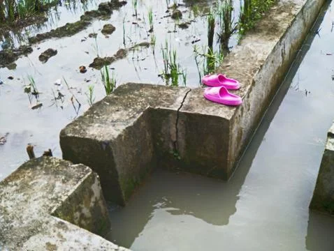 Pink Sandal Stock Photos