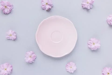 Pink saucer or dessert plate and fresh spring cherry blossom flowers Stock Photos