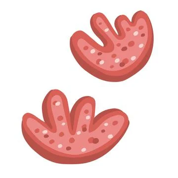 Pink scallops shells hand drawn Illustrazione stock