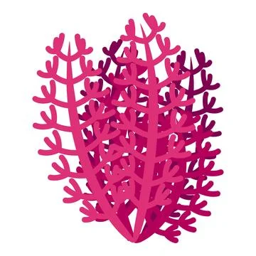 Pink seaweed icon isometric vector. Marine alga Stock Illustration